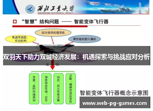 双羽天下助力双城经济发展：机遇探索与挑战应对分析