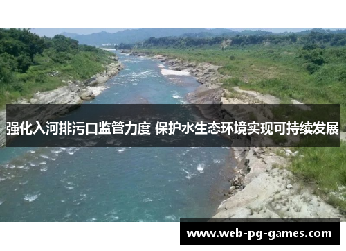 强化入河排污口监管力度 保护水生态环境实现可持续发展